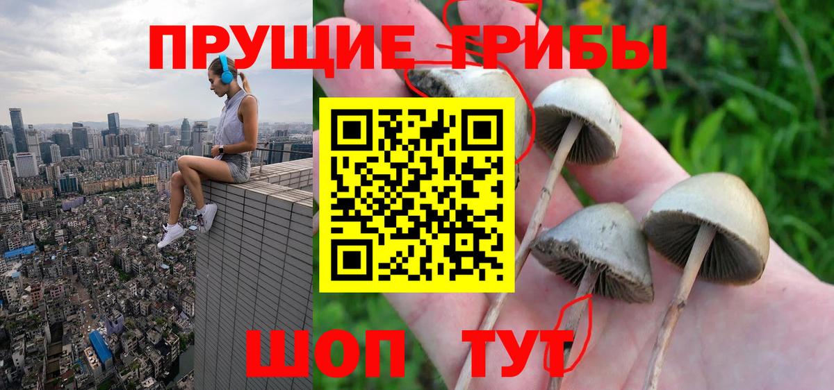 Галлюциногенные грибы ЛСД  Галлюциногенные грибы Cubensis  Вход с VPN  Солнечногорск 